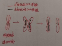 微信图片_20220927213206