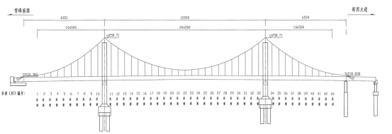 桂花大桥吊杆总体布置图