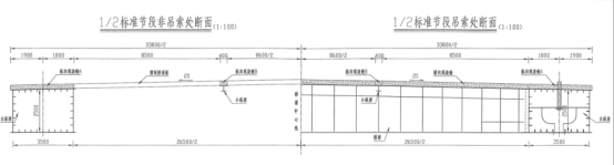 主桥主梁标准节段断面图