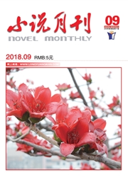 小说月刊：下半月