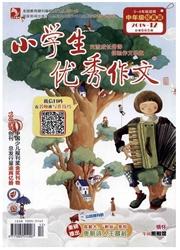 小学生优秀作文：中年级版