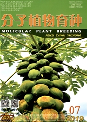 分子植物<b style='color:red'>育种</b>