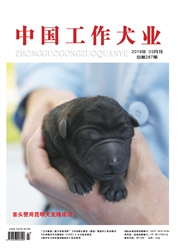 <b style='color:red'>中国</b>工作犬业