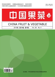 <b style='color:red'>中国</b>果菜