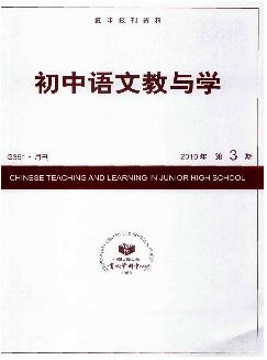 复印报刊资料：初中语文教与学