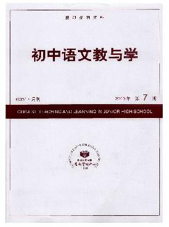 复印报刊资料：初中语文教与学