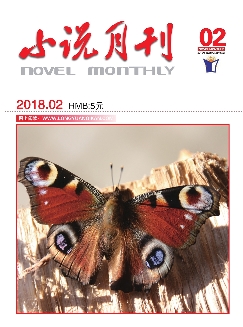 小说月刊：下半月