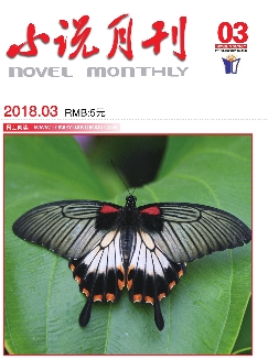 小说月刊：下半月