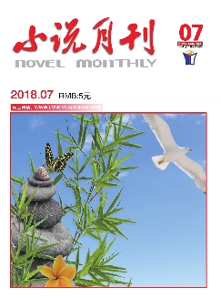 小说月刊：下半月