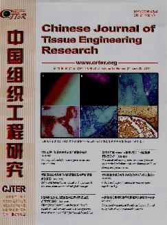 中国组织工程研究