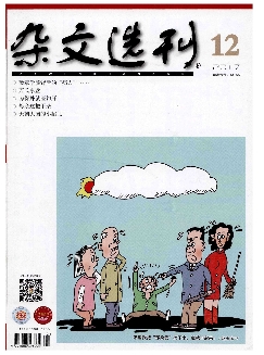 杂文选刊