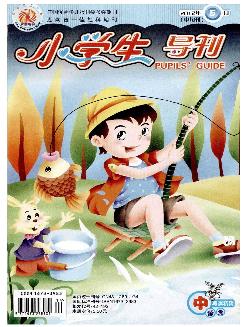 小学生导刊：中年级版