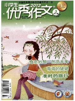 小学生优秀作文：中年级版