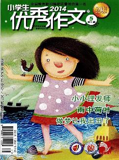 小学生优秀作文：中年级版