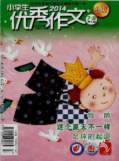 小学生优秀作文：中年级版