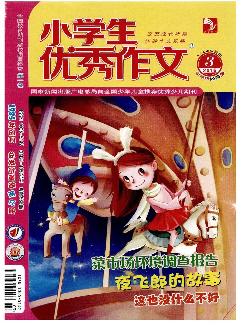 小学生优秀作文：中年级版