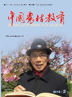 中国农村教育