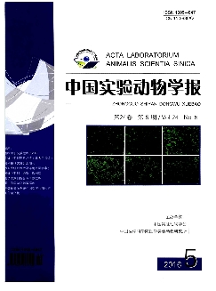 中国实验动物学报