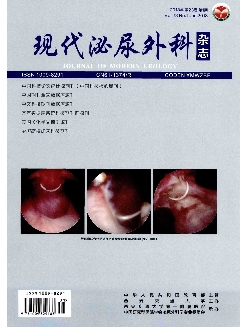 现代泌尿外科杂志