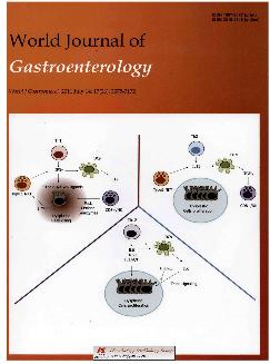 世界胃肠病学杂志：英文版