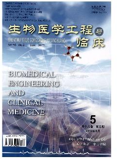 生物医学工程与临床