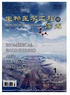 生物医学工程与临床