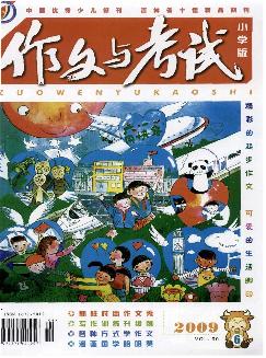 作文与考试：小学版