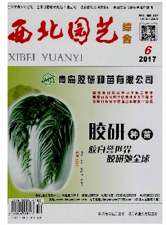 西北园艺：综合