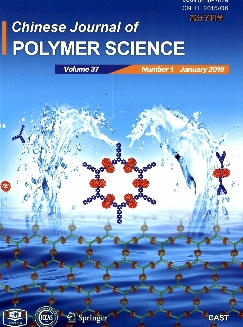 高分子科学：英文版