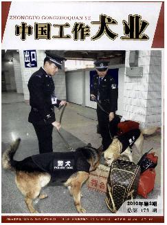 中国工作犬业