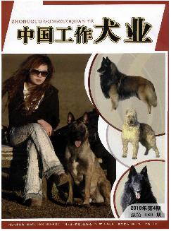 中国工作犬业