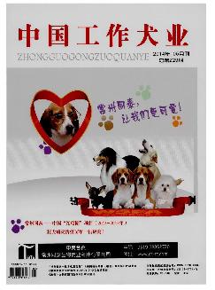 中国工作犬业