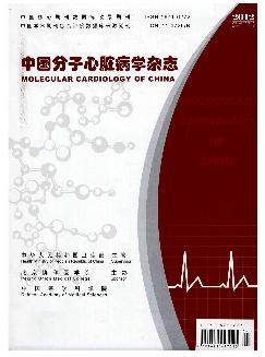 中国分子心脏病学杂志