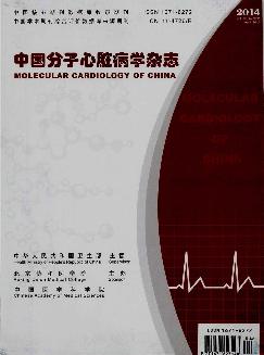 中国分子心脏病学杂志