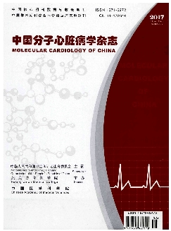 中国分子心脏病学杂志