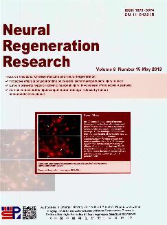 中国神经再生研究：英文版