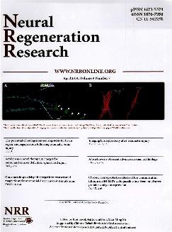中国神经再生研究：英文版