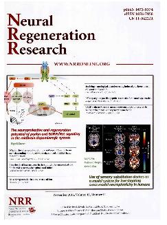 中国神经再生研究：英文版