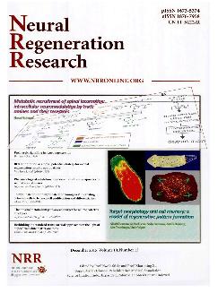 中国神经再生研究：英文版
