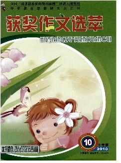 获奖作文选萃.小学版