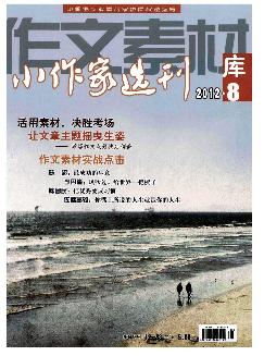 小作家选刊：时文素材